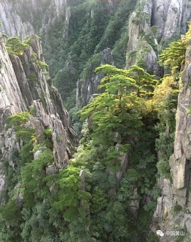 《狗剩快跑》央八首播，收视爆表！河南味道，抗日喜剧，真中